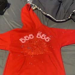 Spider hoodie