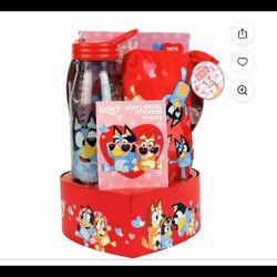 Bluey Valentines Day Box