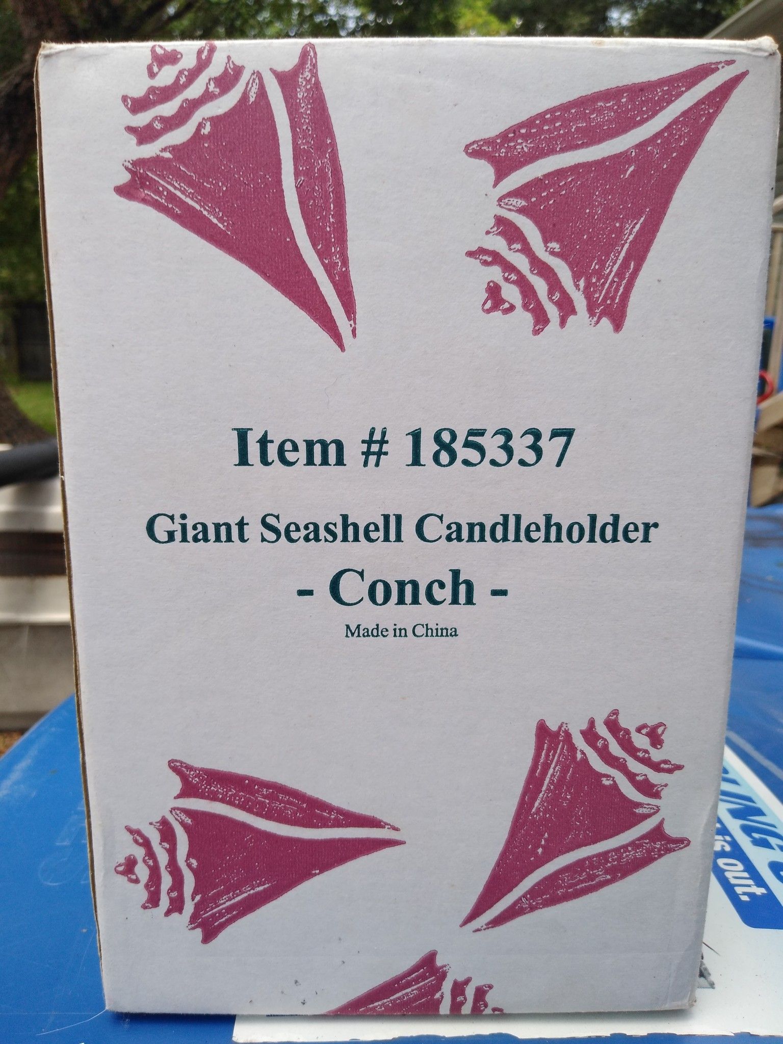 Conch shell candle holder