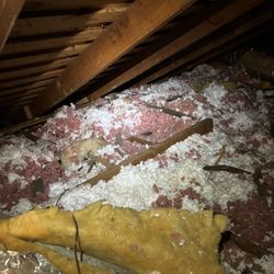 Insulation Transform Your Attic In Days 