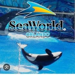 Venta Tickets Seaworld $45