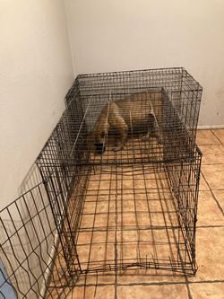 Dog crate