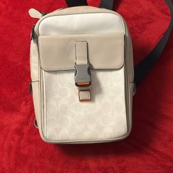 Coach Canvas Travel Bag 
