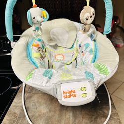 Bright Starts Comfy Baby Bouncer Soothing Vibrations