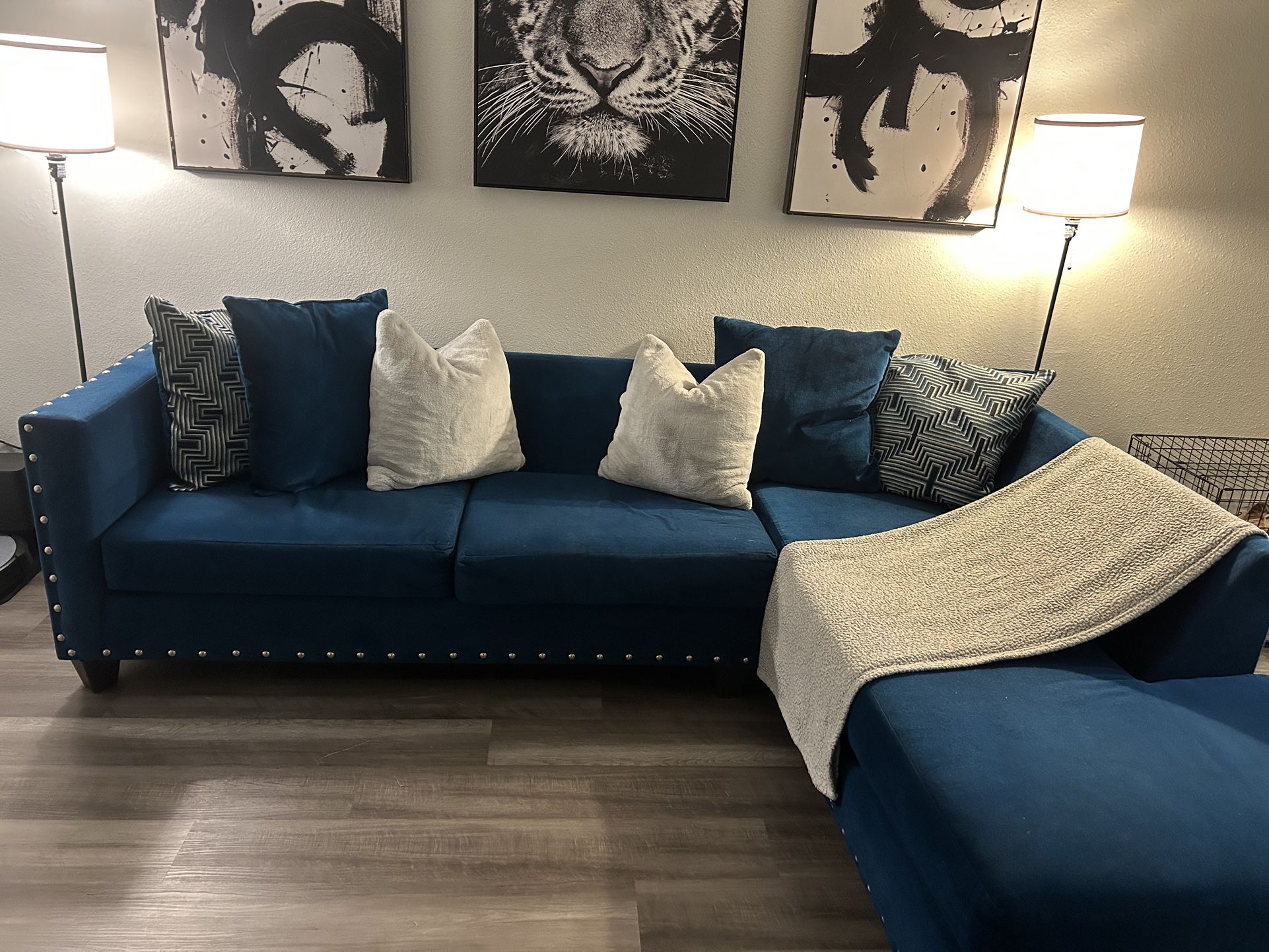 Comfortable Couch