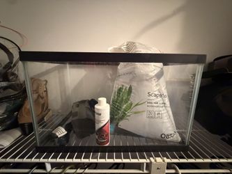 Aquarium Starter Kit – Tank + Filter + Supplies