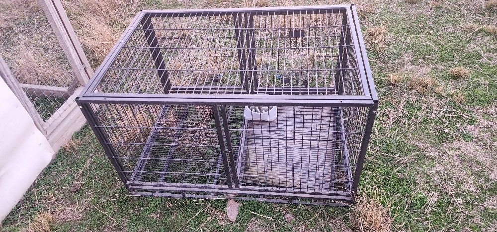 Bird Or Dog Cage