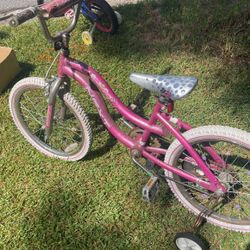 Toddler Bike