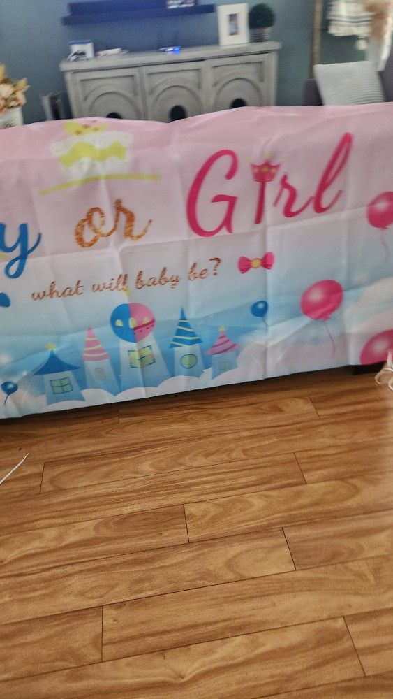 Gender Reveal Backdrop $5