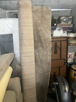 Large 8 X 10 Shag rug 