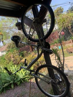 Cruiser Bike  Diamond Back
