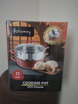 NIB cooking pot with strainer