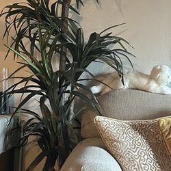 Artificial Dracaena Plant in Wicker/Rattan Basket 