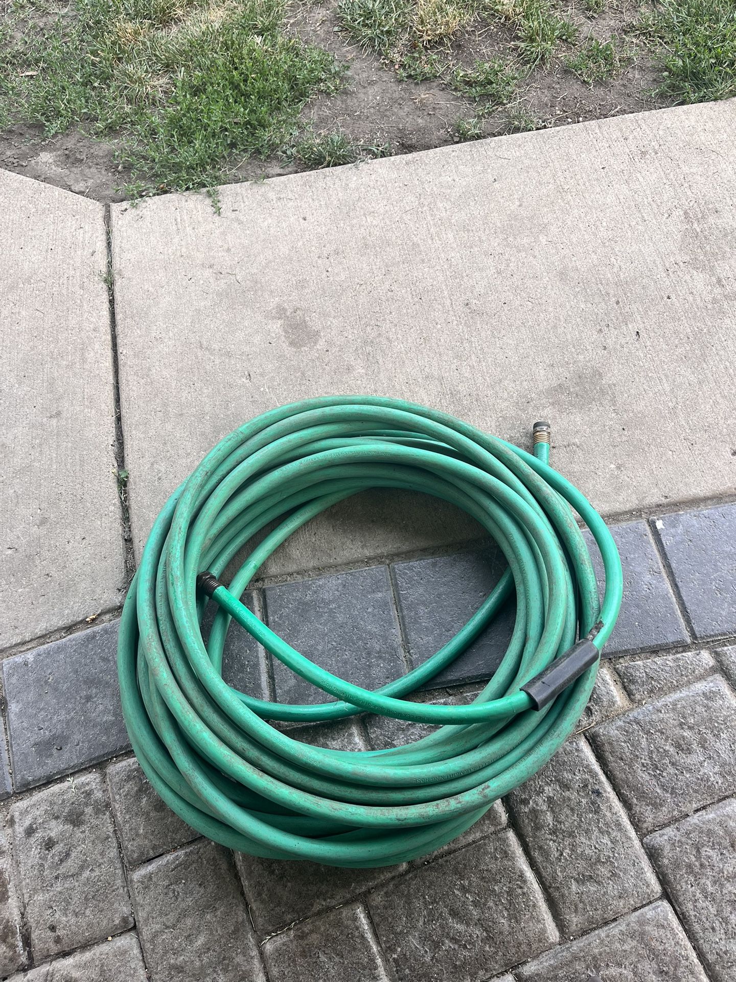 100ft Hose