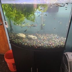 36 Gallon Aquariun