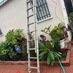 Good Condition To 20 Feet And More Sizes Available Aluminum Extension Ladders