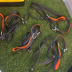 Adventure Dog Leash, Neon Orange, 6-ft. Long, 5/8-in. Wide $20