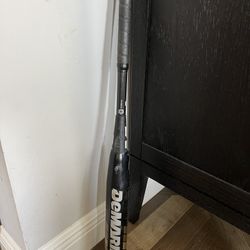 demarini baseball bat