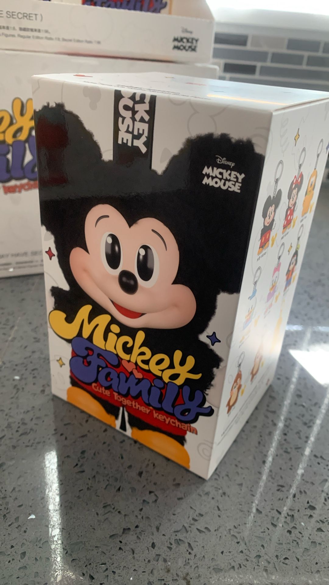 Mickey Family Cute Together Keychain Series - Popmart - Labubu