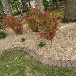 Landscaping And Yard Clean Up