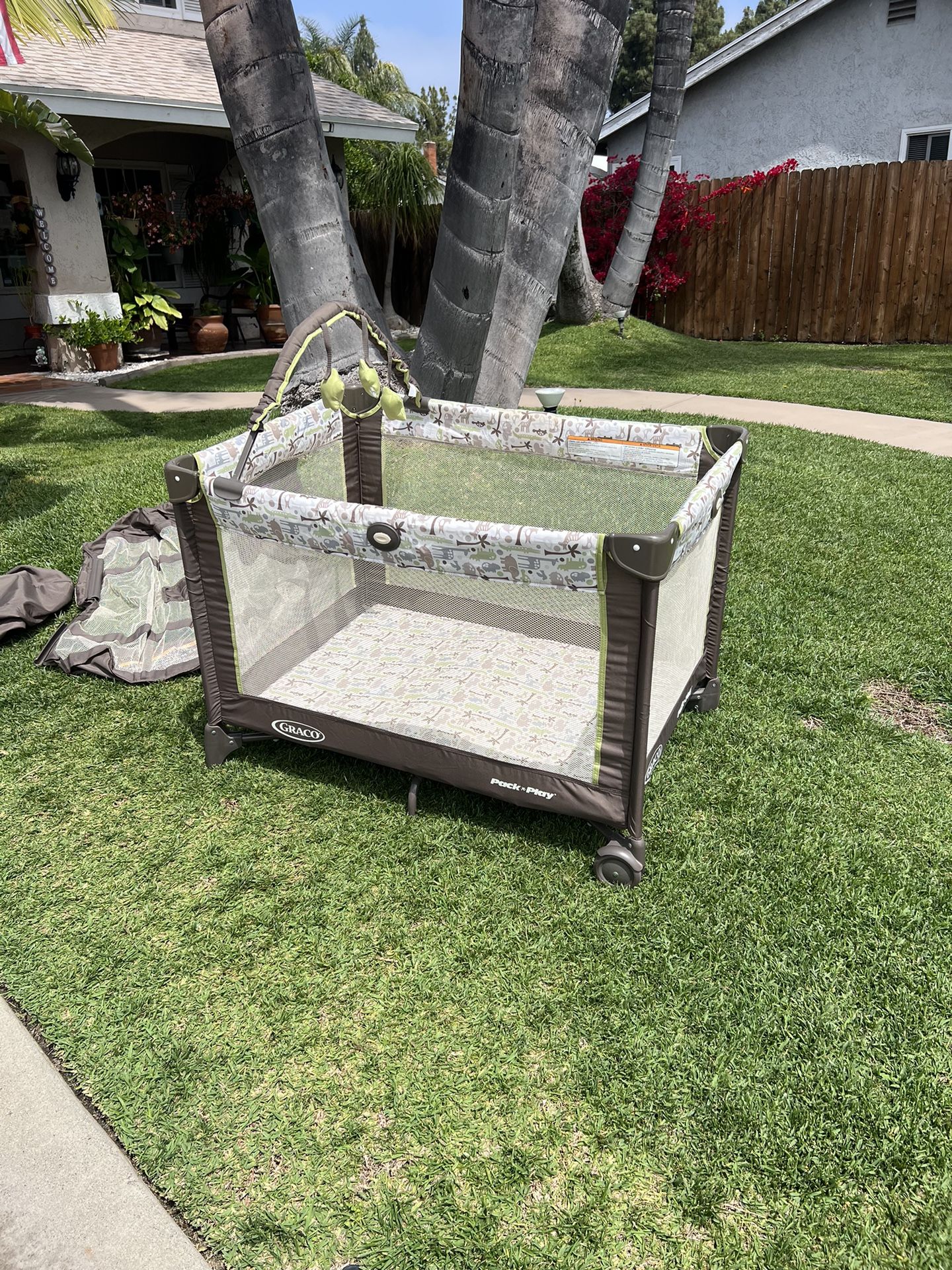 GRACO Pack N Play Little Hoot