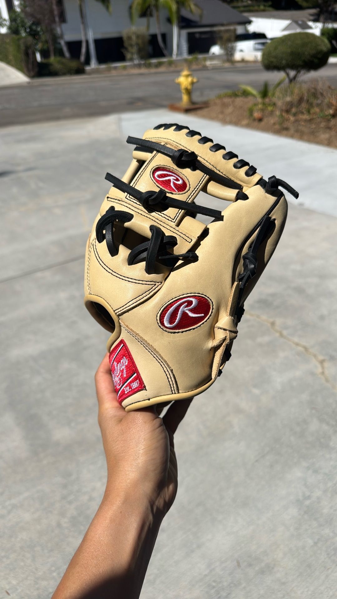 NWT Rawlings Gold Glove Elite 11.25 Inch (see Pics)