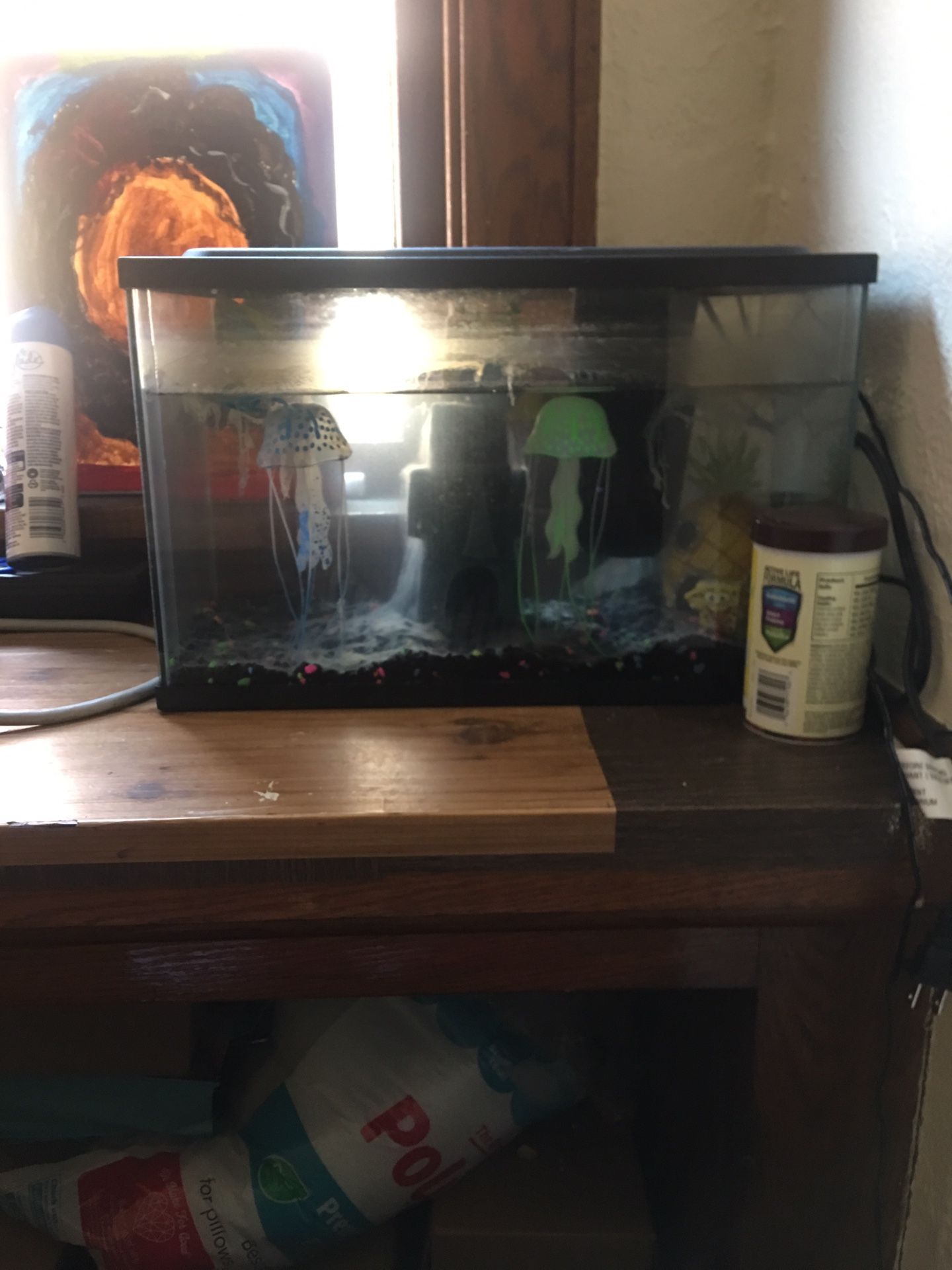 5 gallon fish tank spongebob themed