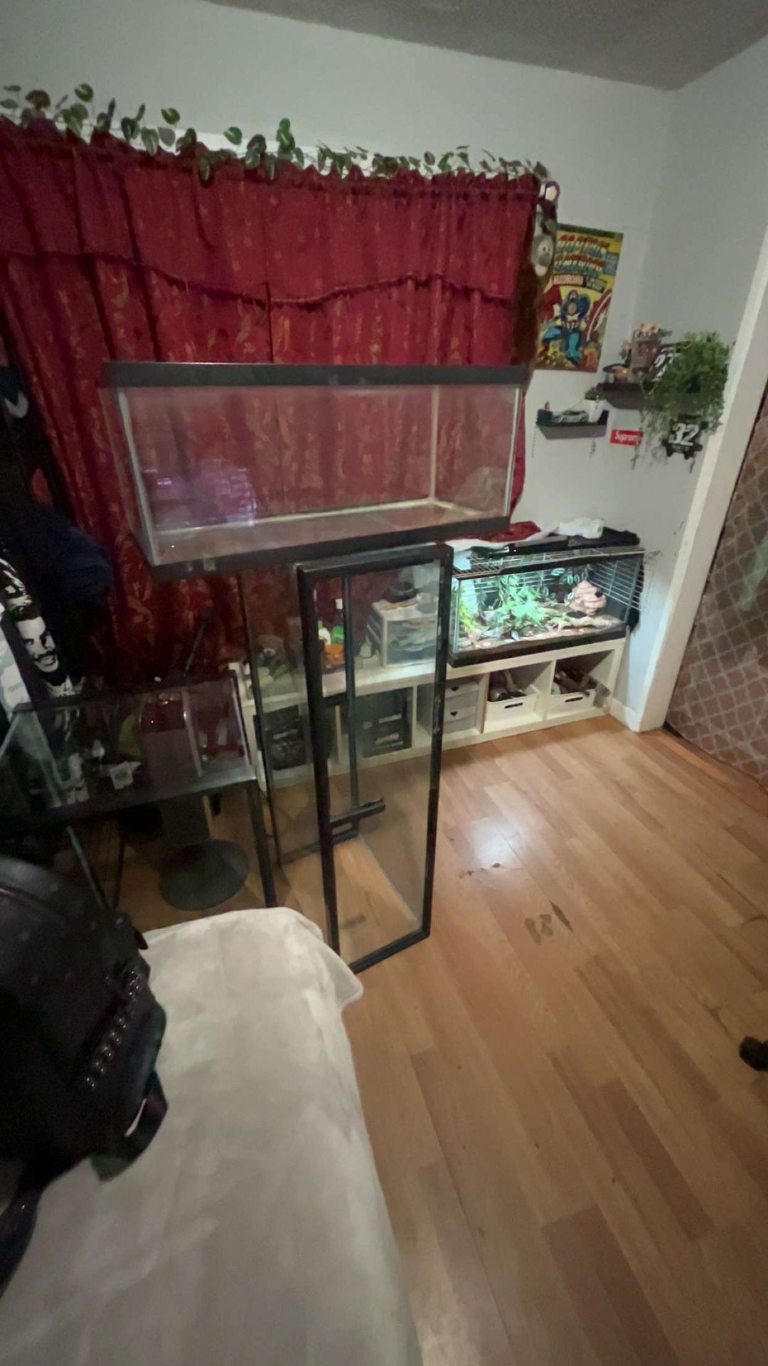 Big Reptile/fish Tanks Send Offers