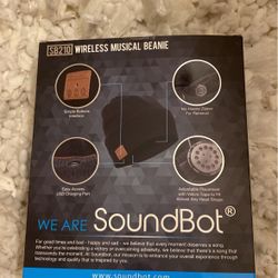 Wireless SoundBot Beanie