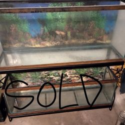 Fish Tanks & Stands