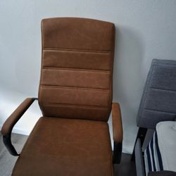 Gaming/Computer Chair 