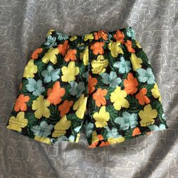 Toddler Boys 4T Swim Trunks
