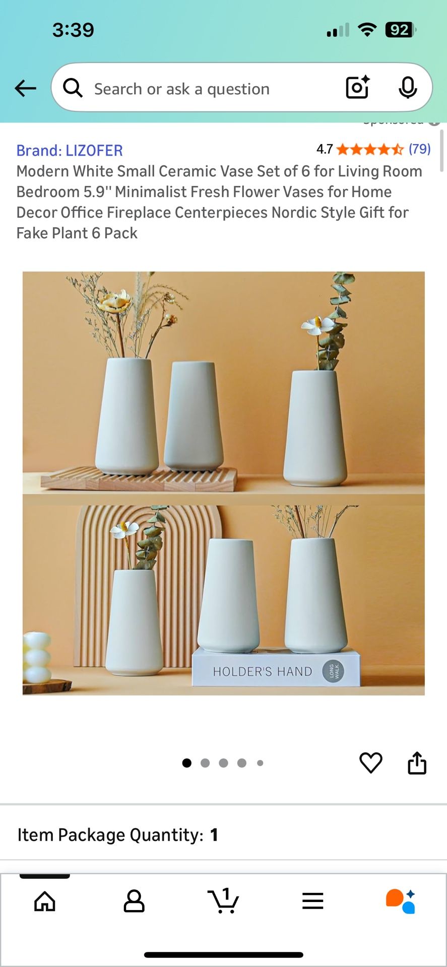 Ceramic Flower Vases