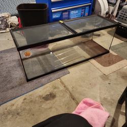 60 Gallon Snake Tank