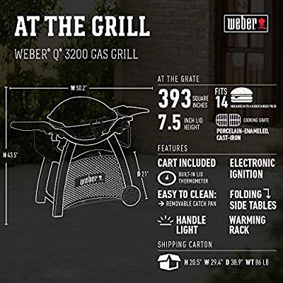 Weber Q3200 Grill
