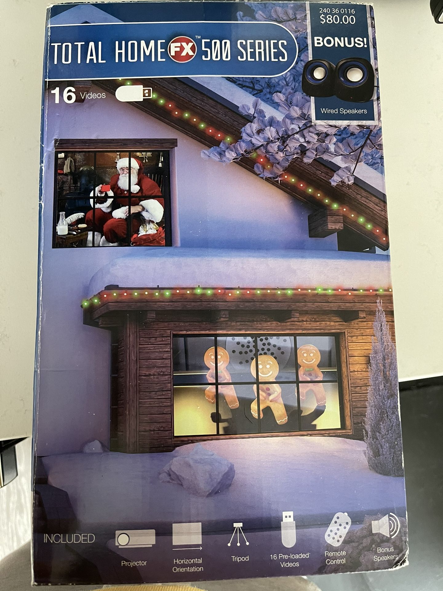 Holiday Projector