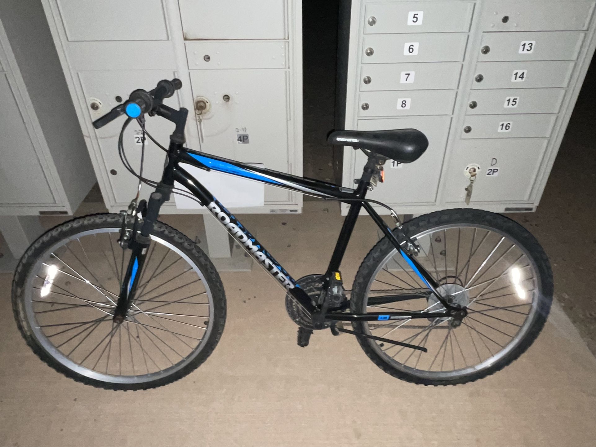 Roadmaster Granite Peak Mountain Bike