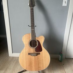 Takamine Guitar