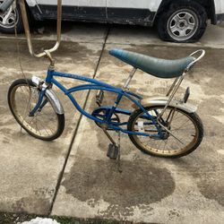 20 Inch Boys Schwinn Stingray Bike