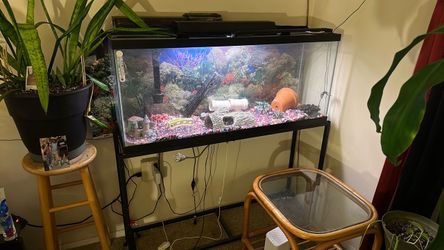 2 Different 55 Gallon Freshwater Fish Tanks