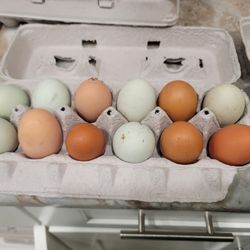 Free Range Unwashed Eggs