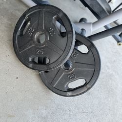2 25 pound plates 