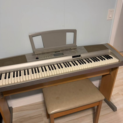 Yamaha Portable Grand DGX 500