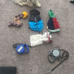 Dog items 