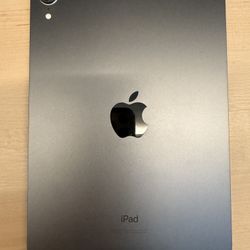 Apple iPad Mini