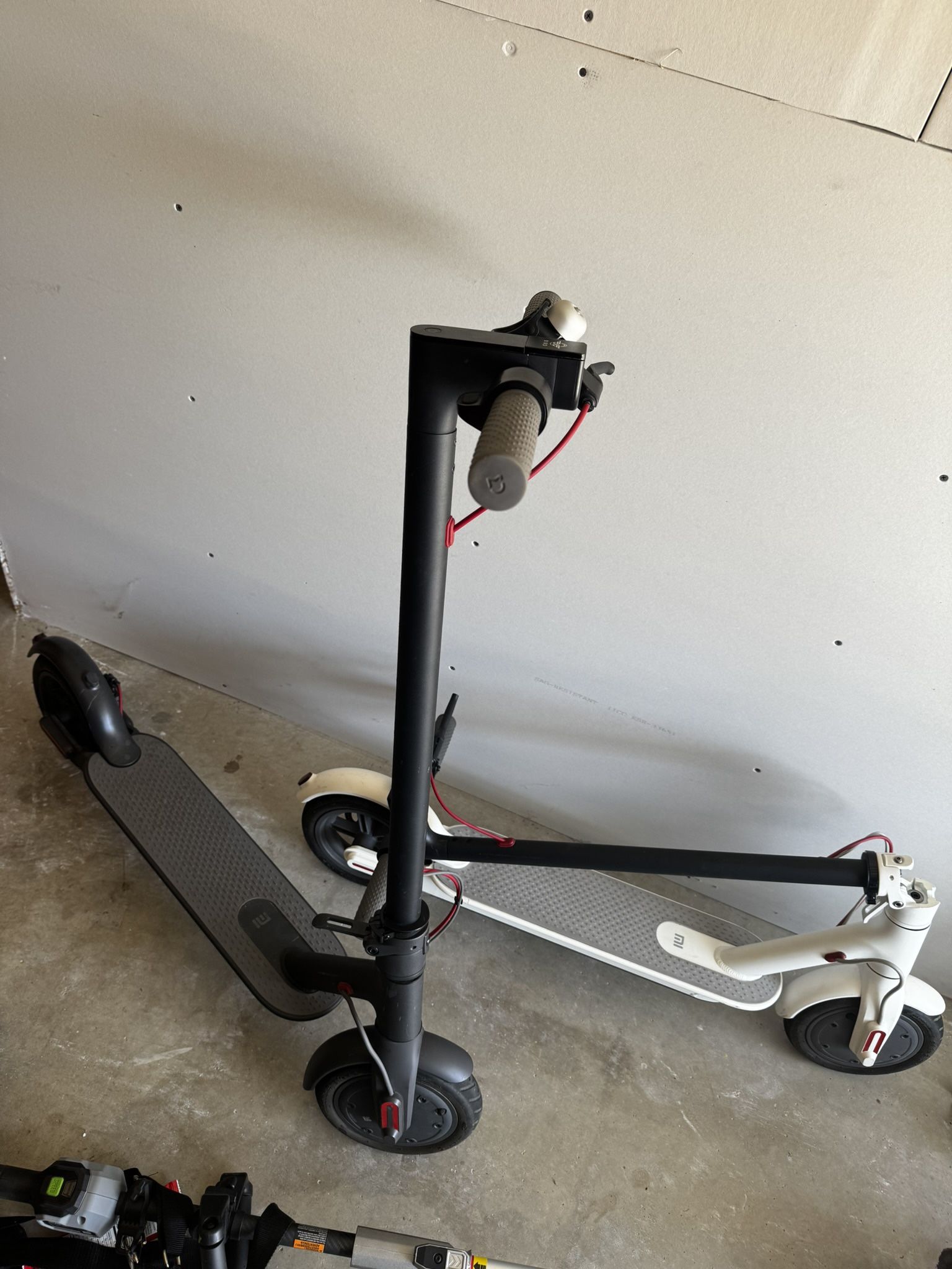 2 bird electric Scooters