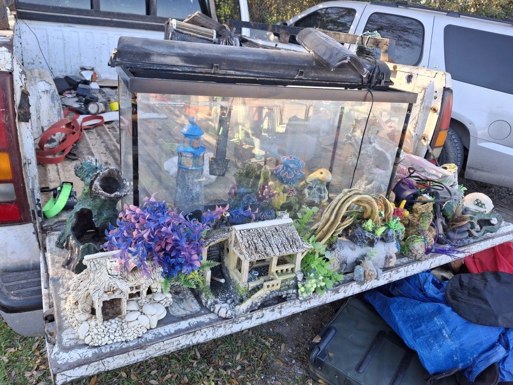 Fish Tank With Accessories