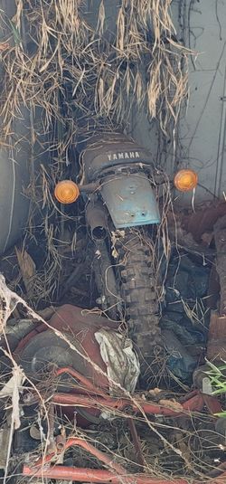 Yamaha yz125 Vintage