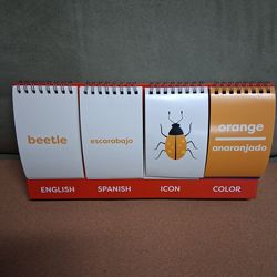 Flashcards. English & Spanish Flip Cards