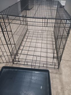 40 Take It Today Sept 3rd Final Sale 2024!